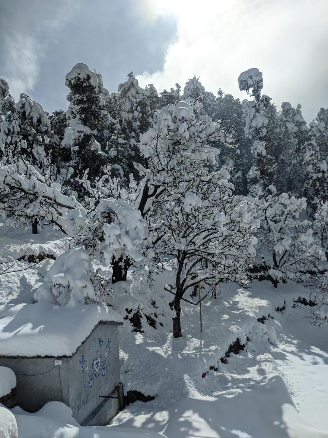 Namastay Himalayas, Kanatal Exterior foto
